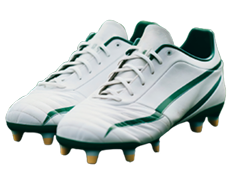 Sports Shoes